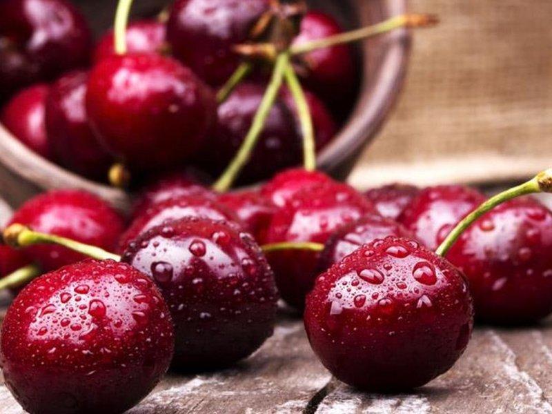 Вишня купить саженцы из питомника в Видном